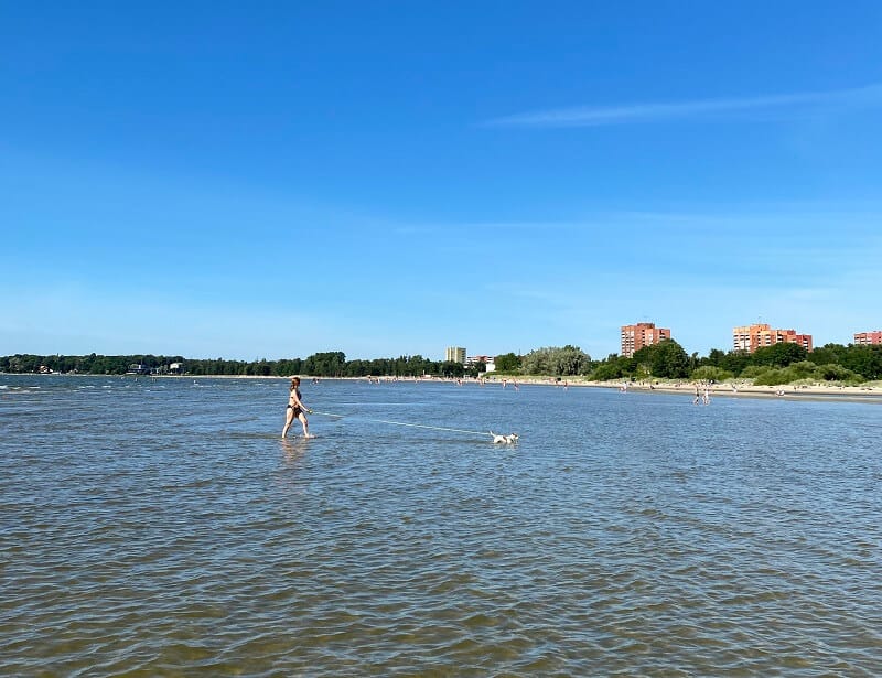 Praias pet-friendly em Tallinn